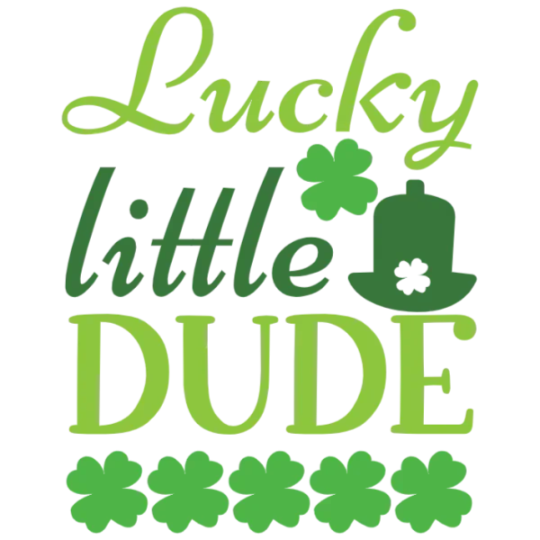 St Patrick's Day Lucky Little Dude Irish Gift for Baby Boy