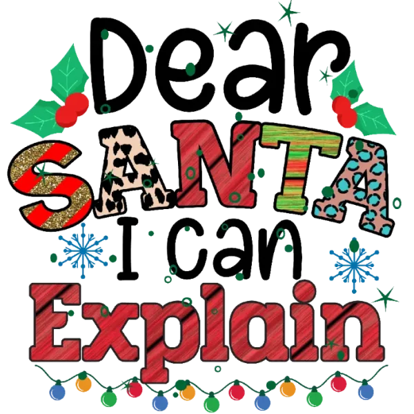 Dear Santa I Can Explain