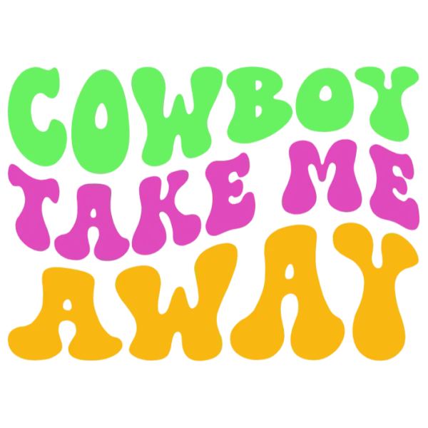 Cowboy Take Me Away