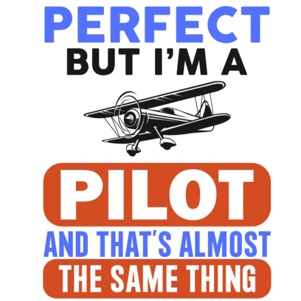 Perfect Pilot