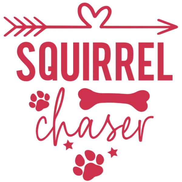 Squirrel Chaser