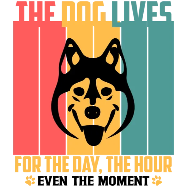 The Dog Lives For The Day, Even In The Moment