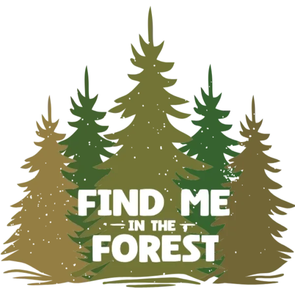 Find Me in the Forest