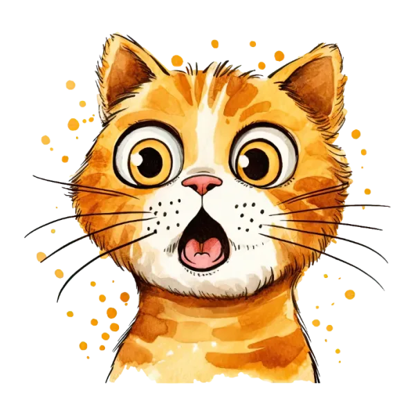 Crazy Cat Lady's Feline Frenzy