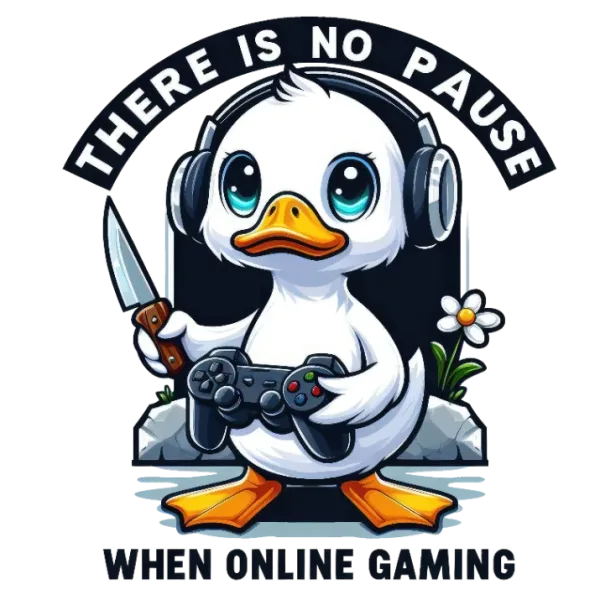 There Is No Pause When Online Gaming